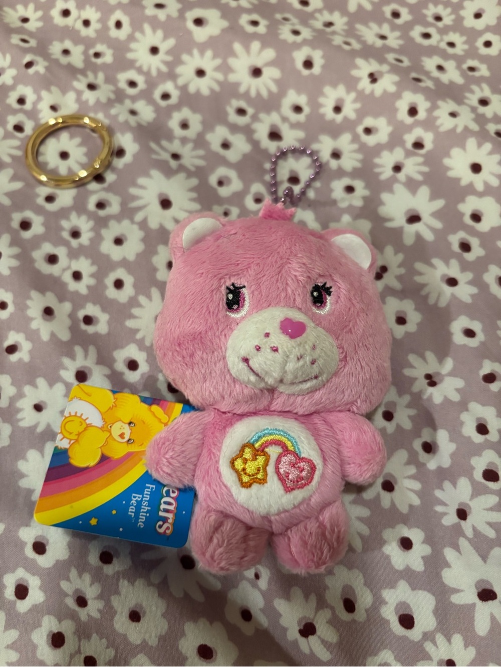 FROM JAPAN Vintage Care Bears Best Friend Bear plush keychain coin purse 2009